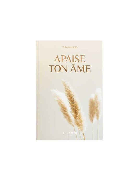 Apaise ton âme - Târiq al-Habîb - al-Hadîth