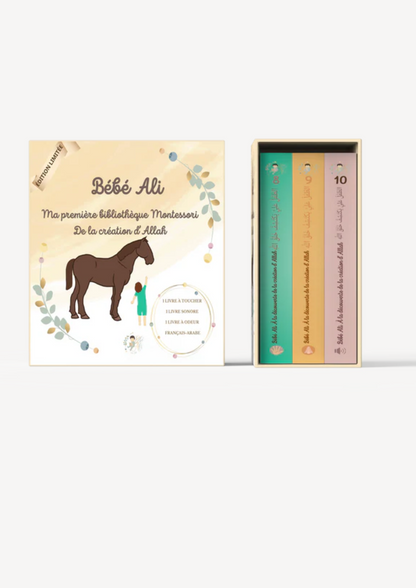 Coffret Création - Bébé Ali