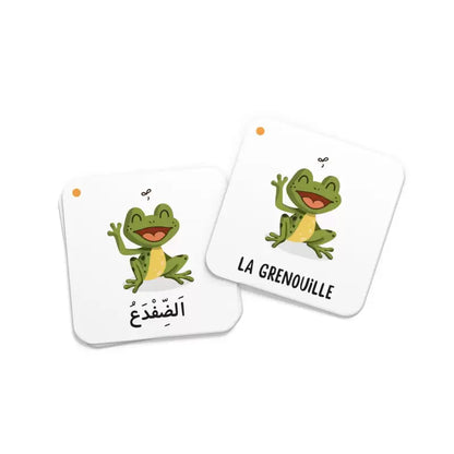 Mémo des Animaux du Coran