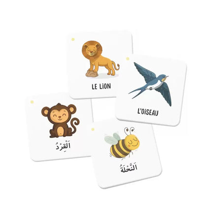 Mémo des Animaux du Coran