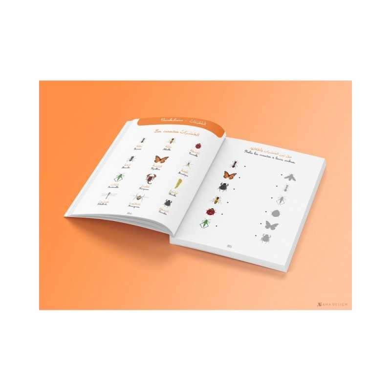 Moyenne section- al-fi'atu al-Mouttawassitah- Tout le programme - 4/5 ANS - bilingue Français /arabe- IDRAK